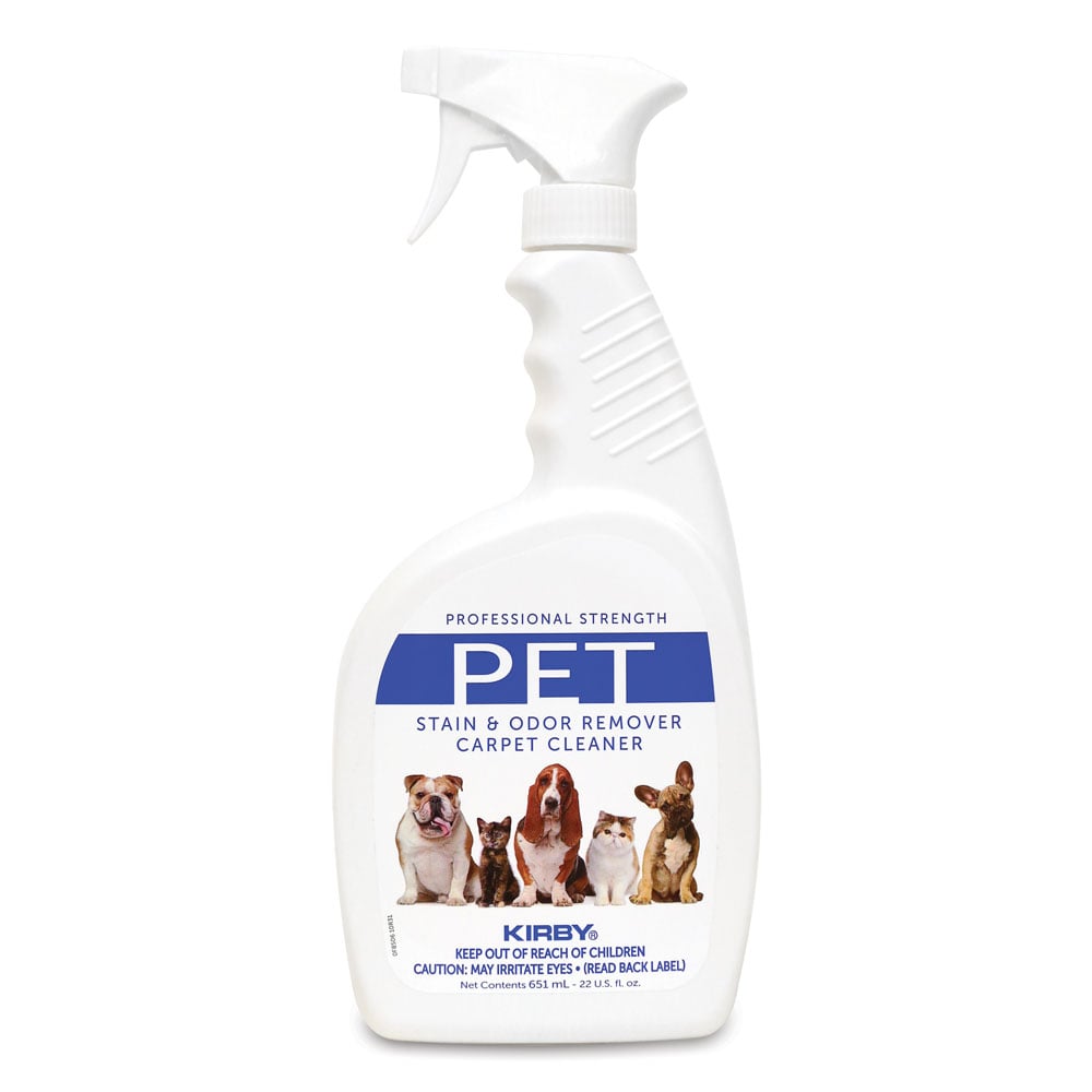 best dog pee smell remover