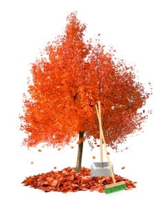 Photo of autumn tree with leaf heaps and cleaning tools isolated on white