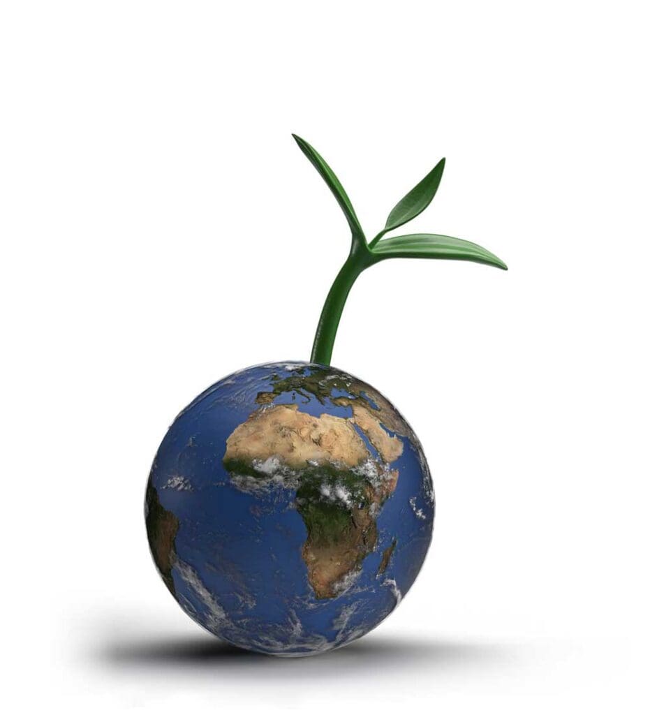 the earth with a little tree growing out of it on a white background